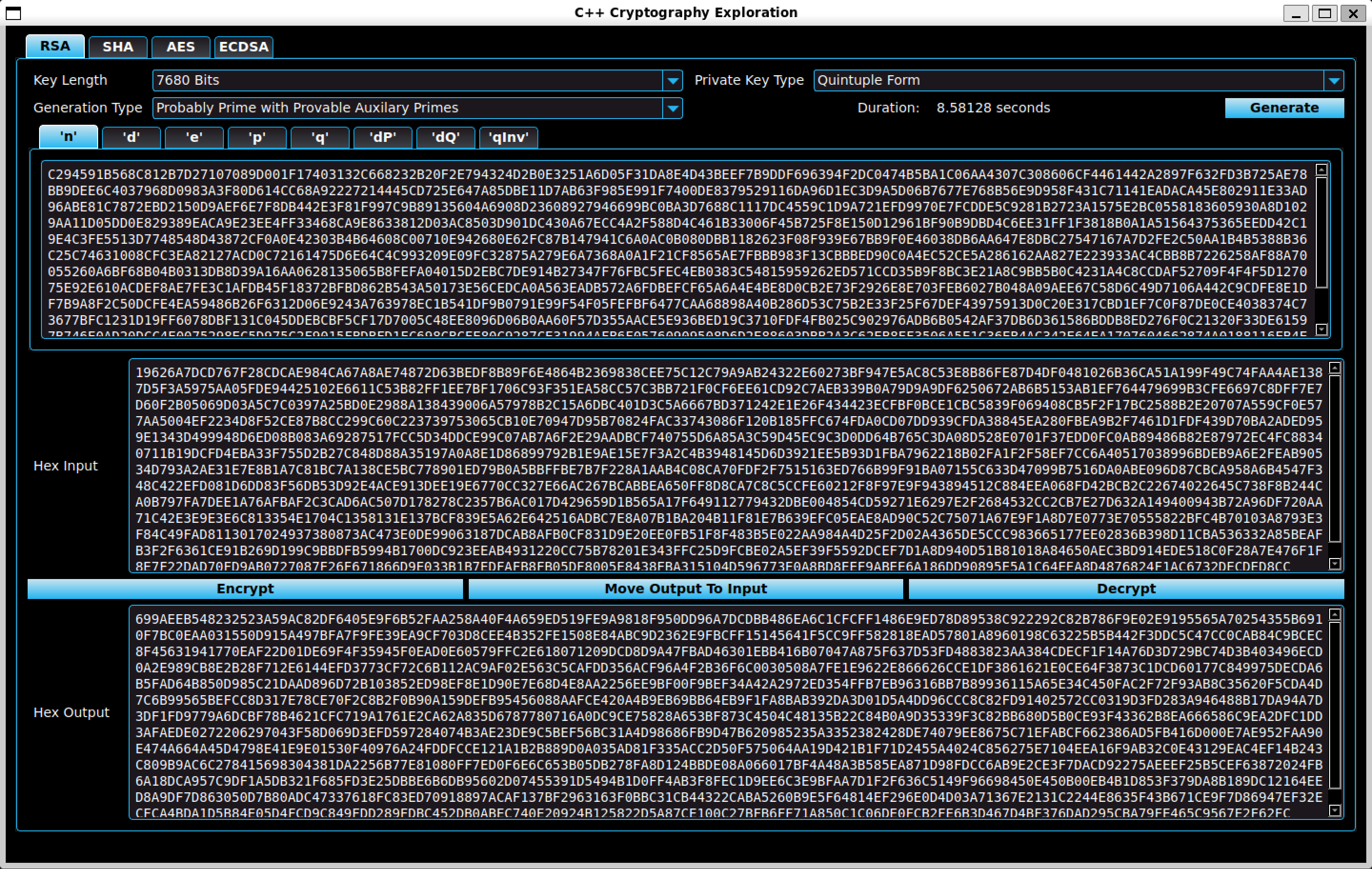 A screenshot of the RSA tab on the C++ GUI Application